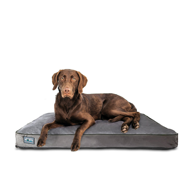 BetterWorldPets Better World Pets Orthopedic Polyester Pet Bed & Reviews Wayfair